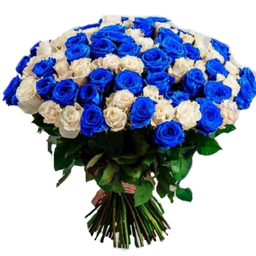 Фото товара 101 белая и синяя роза (крашеная) в Мелитополе