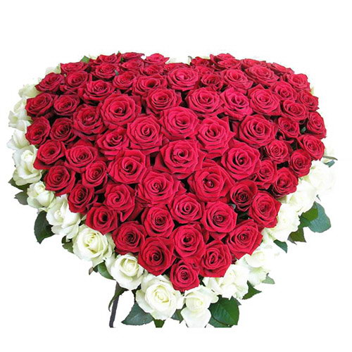 Фото товара 101 роза сердцем - белая, красная в Мелитополе