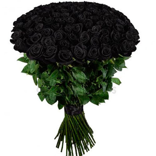 Фото товара 101 чёрная роза (крашеная) в Мелитополе