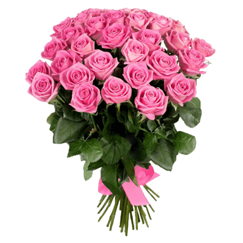 Фото товара 25 роз "Аква" в Мелитополе