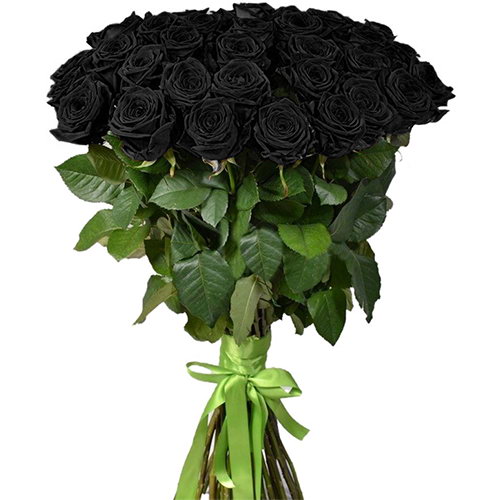 Фото товара 25 чёрных роз (крашеных) в Мелитополе