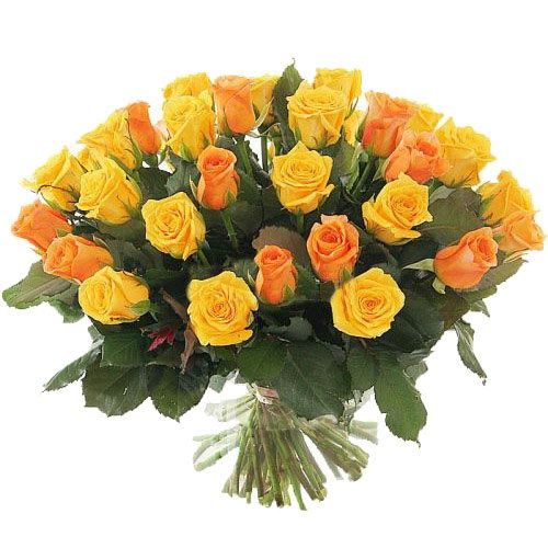 Фото товара 51 желтая и кремовая роза в Мелитополе