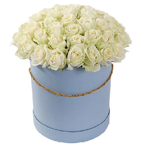 Фото товара 51 роза белая в шляпной коробке в Мелитополе