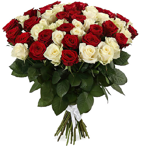 Фото товара 51 роза красная и белая в Мелитополе