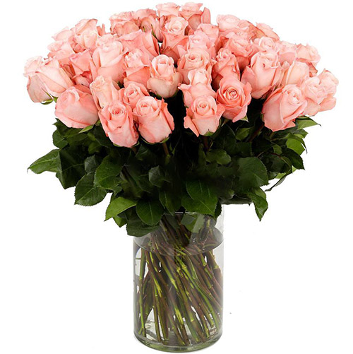 Фото товара Роза импортная розовая (поштучно) в Мелитополе