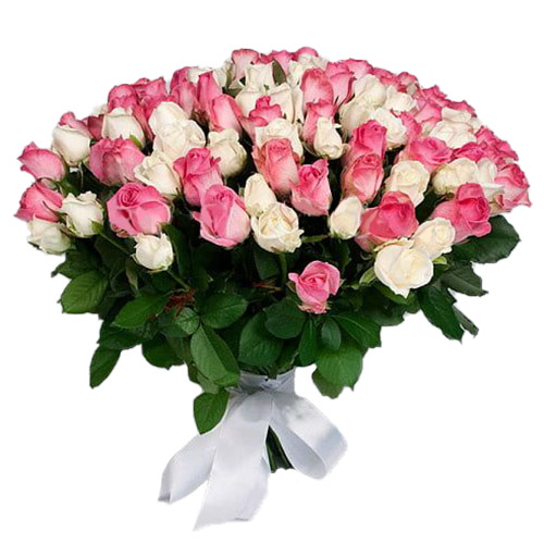 Фото товара 101 белая и розовая роза в Мелитополе