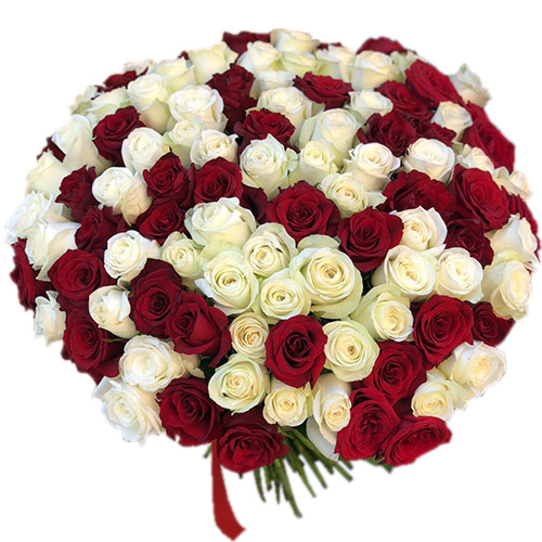 Фото товара 101 красная и белая роза в Мелитополе