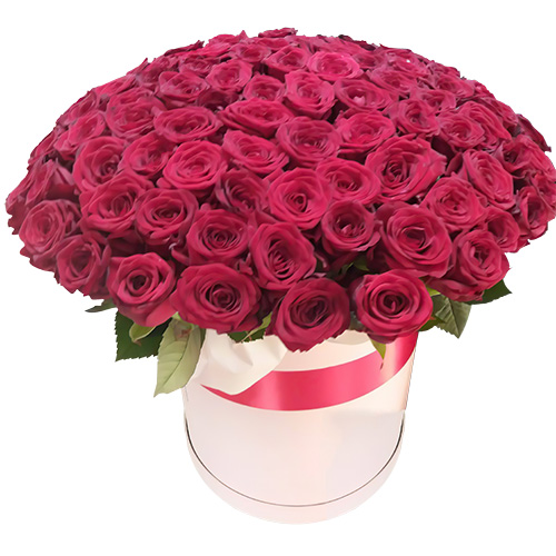 Фото товара 101 роза красная в шляпной коробке в Мелитополе