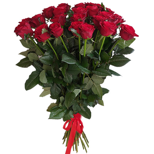 Фото товара 21 красная роза в Мелитополе