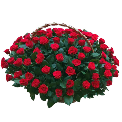 Фото товара Корзина 101 красная роза в Мелитополе