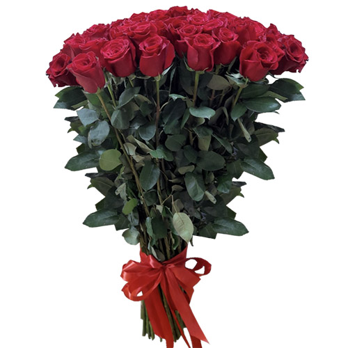Фото товара 51 роза "Фридом" метровая в Мелитополе