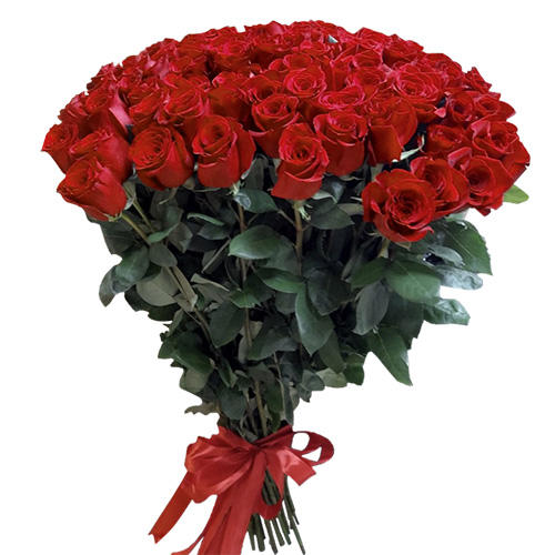 Фото товара 101 роза "Фридом" метровая в Мелитополе