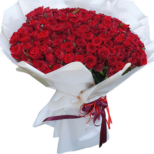 Фото товара 201 красная роза в Мелитополе