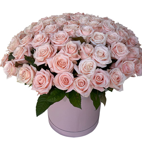 Фото товара 101 розовая роза в коробке в Мелитополе
