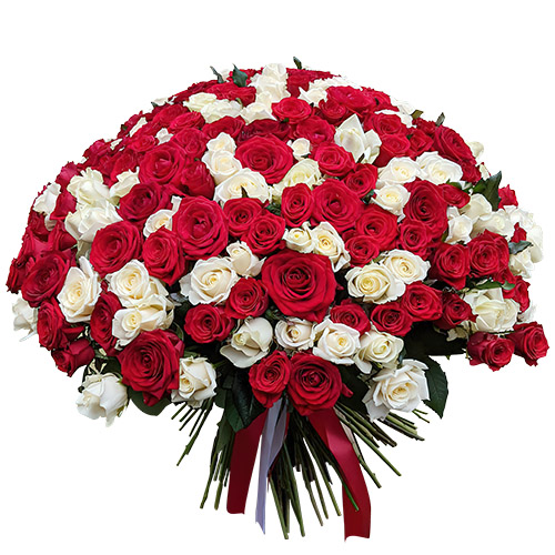 Фото товара 201 красная и белая роза в Мелитополе