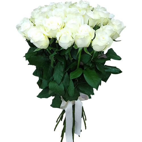 Фото товара 25 белых роз в Мелитополе