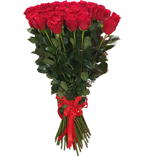 Фото товара 25 метровых роз "Фридом" в Мелитополе